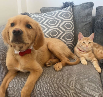 Eventure Internet's New CEO of health and well being