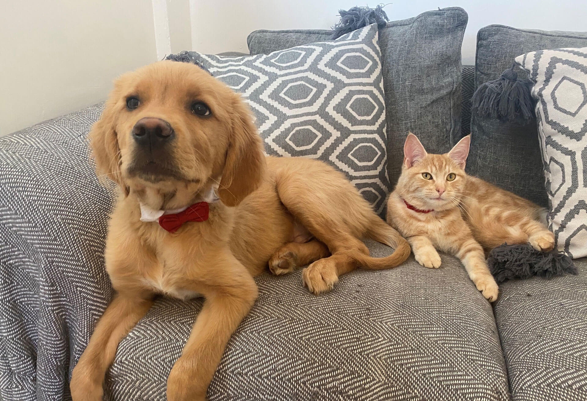 Eventure Internet's New CEO of health and well being